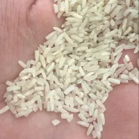 برنج نیمدانه پاکستانی درجه 1 قیمت نامبروان