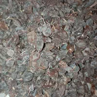 کشمش افتابی|خوردنی و آشامیدنی|شهرکرد, |دیوار