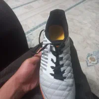 کفش فوتسال ویتنام|کیف، کفش، کمربند|الوند, |دیوار