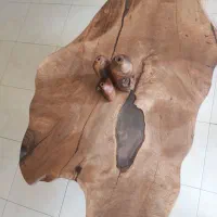 میزجلومبلی چوب گردو ۱۲۵×۶۵ پایه چوب رنگ پلی اورتان