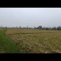 6000-متر-شالیزار-گیلان-رشت-سنگر