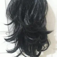 پوستیژ کلیپسی