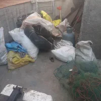 ماهی رودخانه|ماهی|سقز, |دیوار