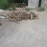 چوب جنگلی|مصالح و تجهیزات ساختمان|رشت, لاکان|دیوار