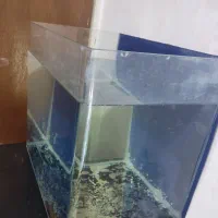 آکواریم شیشه خم