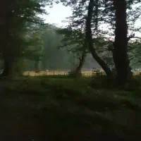فروش یک قطعه زمین ب مساحت ۱۰۰۰ متر