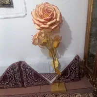 گل ایستاده در حد نو