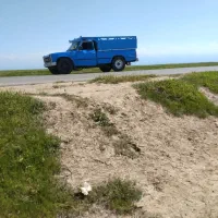 نیسان دوگانه فابریک88|خودرو سواری و وانت|بندر ترکمن, |دیوار