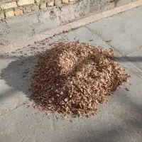 خوراک دام|حیوانات مزرعه|اصفهان, قهجاورستان|دیوار