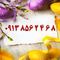 0913.543.2008|سیمکارت|کرمان, |دیوار