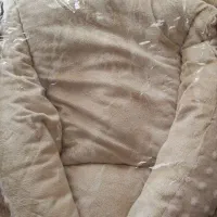 آغوشی مخمل نو|کالسکه و لوازم جانبی|گلبهار, شهر جدید گلبهار|دیوار