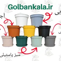 گل و گیاه، گلدان،کود و بستر کشت گیاهان آپارتمانی|گل و گیاه طبیعی|طبس, |دیوار