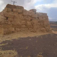 کود|عمدهفروشی|زنجان, |دیوار