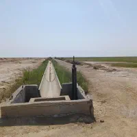 فروش زمین کشاورزی ۱۰ هکتاری آبی چهار فصل|فروش دفتر صنعتی، کشاورزی، تجاری|هندیجان, |دیوار