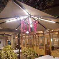 چتر، سایبان|خدمات پیشه و مهارت|بندرعباس, |دیوار