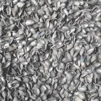 کربن پوست پسته درجه یک صادراتی