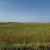 مجموعه دامداری کشاورزی استخر مسکونی زیر فی و فوری