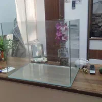 آکواریوم شیشه خم