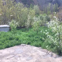فروش زمین 300متری در کیلومتر ۵۰جاده چالوس