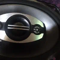 باند پایونیر و بوق ۱۰۱۱