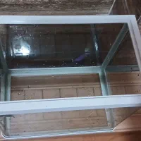 آکواریوم فروش فوری تخفیف