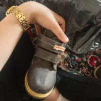 کالسکه و کفش|کالسکه و لوازم جانبی|مرند, |دیوار