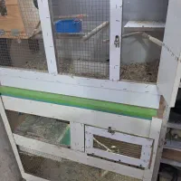 قفس پرنده|لوازم جانبی حیوانات|بندر ماهشهر, |دیوار