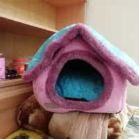 خانه ی سگ کوچک شیواوا پامر