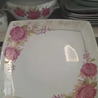 چینی پردیس