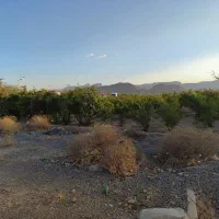 فروش زمین|فروش دفتر صنعتی، کشاورزی، تجاری|نجفآباد, جوزدان|دیوار