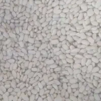 لوبیا سفید پس چین  قیمت مناسب
