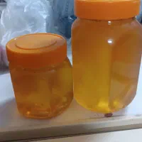 عسل اویشن گون جنگلی