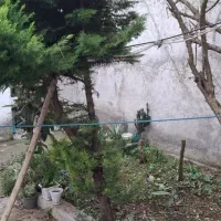 فروش یک باب منزل ویلایی در رشت|فروش خانه و ویلا|رشت, آب و برق|دیوار