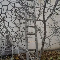 پله چوبی ۴متری