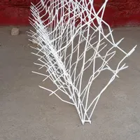 جوشکار شاخ گوزنی