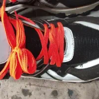 کفش سایز ۴۱|کیف، کفش، کمربند|رامند, |دیوار