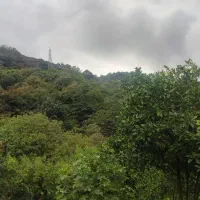 کارگر کشاورزی وابیاری
