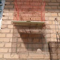 قفس پرنده