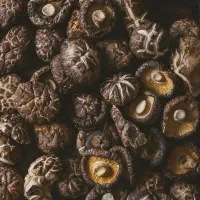 شیتاکه تقویت سیستم ایمنی اچ پی وی