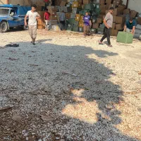 لنج دبی آماده بارگیری|خدمات حمل و نقل|تهران, دکتر هوشیار|دیوار