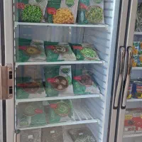 فریزر ایستاده فروشگاهی ۷۰سانتی