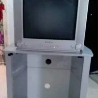 تلویزیون