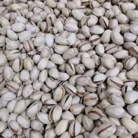 پسته|خوردنی و آشامیدنی|مشهد, شهید قربانی|دیوار