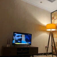 تلویزیون مارشال