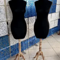 مانکن سوزن خور