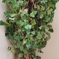 درختچه مصنوعی برگ خارجی