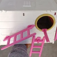 لانه عروس هلندی