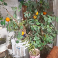 یک واحد اپارتمان