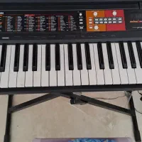 پیانو دیجیتال|پیانو، کیبورد، آکاردئون|زنجان, |دیوار