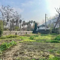 فروش-زمین-مسکونی-بندپی